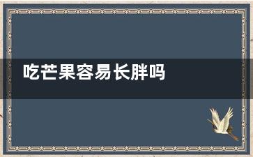 吃芒果容易长胖吗  吃芒果会不会容易长胖(吃芒果容易变胖吗)
